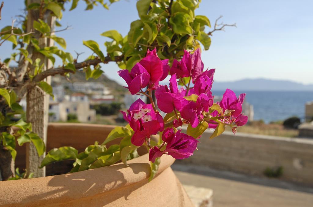 Pantonia Apartments Agia Pelagia  Номер фото